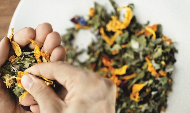 プレスリリース「オーガニックハーブブランド〈ゾネントア〉より、“It’s all good！”シリーズに新ハーブティー3種が2026年2月登場」のイメージ画像