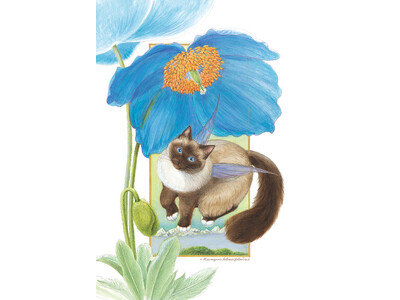 �u�L���v���ӂ���i���W���I�x�{�����قŁu�����L���p�W in �É��v���J��