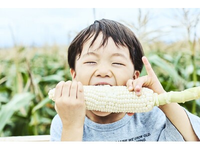高輪ゲートウェイに、とうもろこし畑が出現!? メロンを超える糖度22.4度。駅直結ビルで、とうもろこし収穫イベント初開催