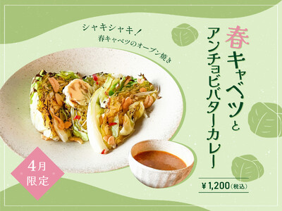 【4月季節限定カレー】Spice and Vegetable 夢民から、厳選春キャベツのオーブン焼きと自...