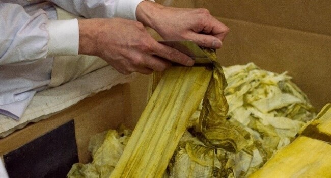 プレスリリース「堺伝匠館で手すき昆布の実演と特別展示を実施します」のイメージ画像