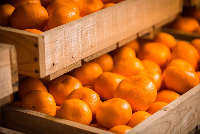 「徳島かんきつアカデミー」令和８年度受講生と「体験見学会」の参加者を募集します！