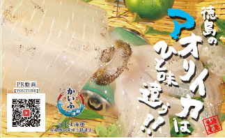 徳島県を代表する絶品グルメ「海部のアオリイカ」を是非ご賞味ください！