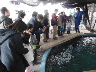 ｊａｆ静岡 ｊａｆデーｉｎ東海大学海洋科学博物館 を開催 水族館の裏側を探検します 企業リリース 日刊工業新聞 電子版