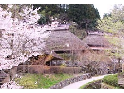 【ＪＡＦ山口】ＪＡＦデー「桜・日和を楽しもう」を開催！