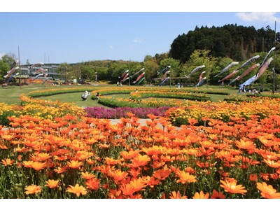 【JAF島根】５月７日（日）「JAFデーｉｎしまね花の郷」を開催します！