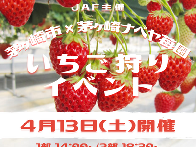 【JAF神奈川】JAF×茅ヶ崎市×茅ヶ崎ナベヤ苺園「いちご狩りイベント」を開催！