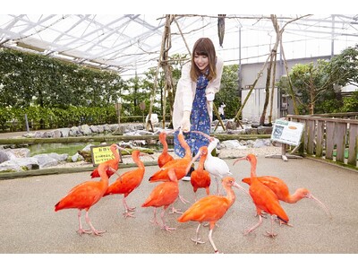【JAF島根】ＪＡＦ会員限定イベント「ＪＡＦデーｉｎ松江フォーゲルパークバックヤードツアー」を開催します