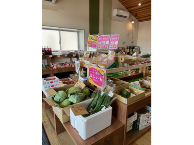 【JAF茨城】茨城県河内町にJAF優待施設が誕生しました！