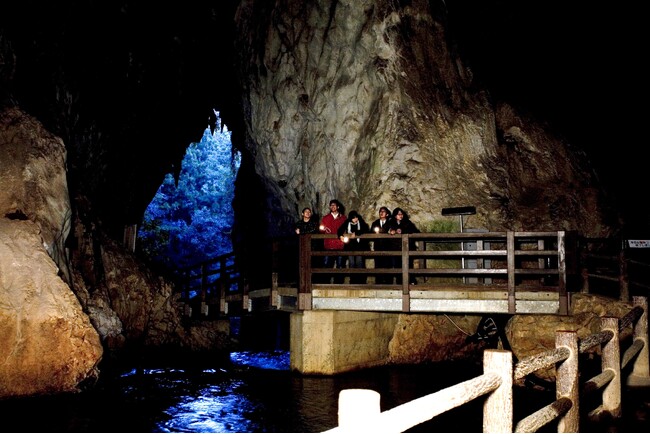 【JAF山口】気分は冒険家！JAFデー 闇ロマン in 秋芳洞を開催