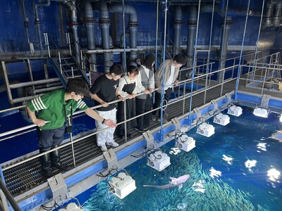 【JAF茨城】「サメタッチング体験」を実施　JAFデー in アクアワールド茨城県大洗水族館バックヤードツアー