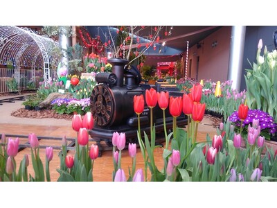 【JAF富山】「第40回春を呼ぶチューリップ展」にJAFブースを出展！楽しみながら交通安全について学びましょう