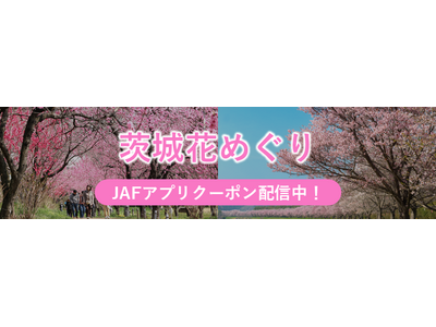 【JAF茨城】県内の花の名所をお得にドライブ！「花めぐり～JAFアプリクーポンでお得に楽しむ茨城の春～」...