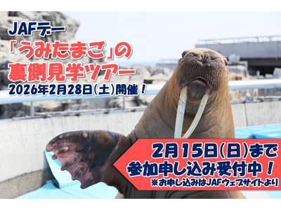 【JAF大分】大分マリーンパレス水族館「うみたまご」で、裏側見学ツアーを開催！普段は見られない「うみたま...