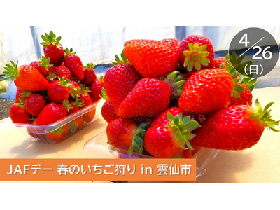 【JAF長崎】“恋みのり”いちご狩りイベント開催！～摘みたてのいちごが1時間食べ放題 ＆ 1パックのお土...