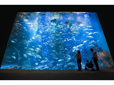 【JAF東北】JAFフェスティバル東北 in 男鹿水族館GAO「裏側見学ツアー」に参加しませんか？
