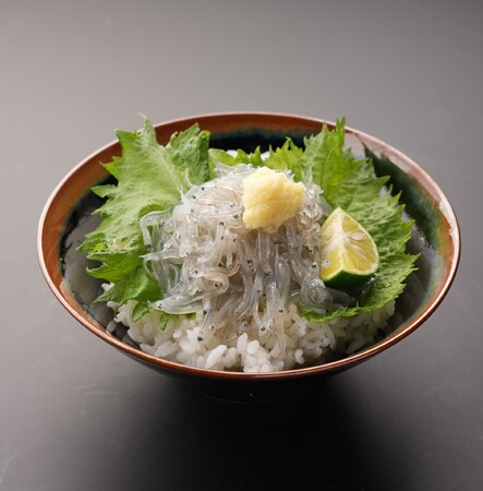 【JAF徳島】和田島直送“生シラス丼”が100円引！旬の味をお得に　小松島「たの久」にて特別優待企画を実施中【8月31日まで】