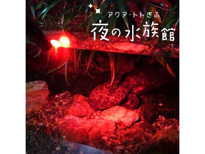 【JAF岐阜】世界淡水魚園水族館 アクア・トト ぎふで、閉館後の特別な「夜の水族館」を体験できます