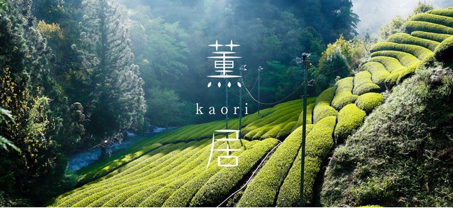 【ご試食会開催】8/6（土）・7（日）に、静岡県内産有機茶葉を使用した「お茶フリアン 薫居 kaori」のご試食会を、たこまん全店で開催いたします！