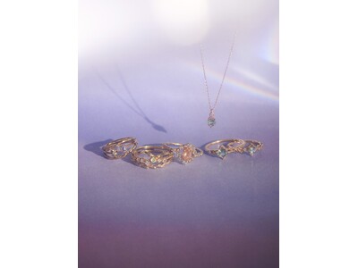 2025 WINTER COLLECTION - Pre Holiday Limited Edition -