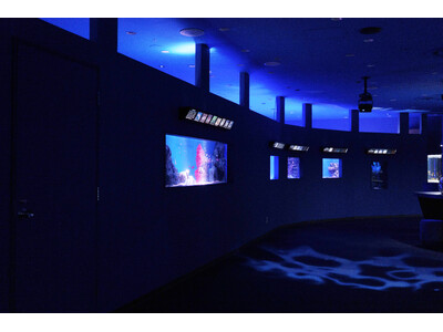 閉館からの再始動。“シン・マリホ水族館”が広島に新風を吹き込む。