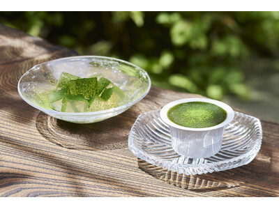 たねやの夏の定番商品に新風！滋賀県土山町の抹茶で楽しむ「本生羊羹 抹茶」「たねや寒天 抹茶」が新登場