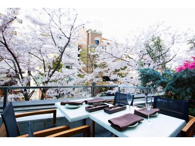 六本木に咲き誇る桜をしっとり愛でながら旬の真鯛や春野菜を味わう 春を贅沢に感じる「GENIE’S TOKYO-お花見プラン」提供開始