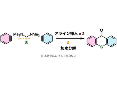 チオキサントン類を短工程で合成できる新たな手法を開発 ～アライン中間体がチオカルボニル基に2度挿入される特異な反応～