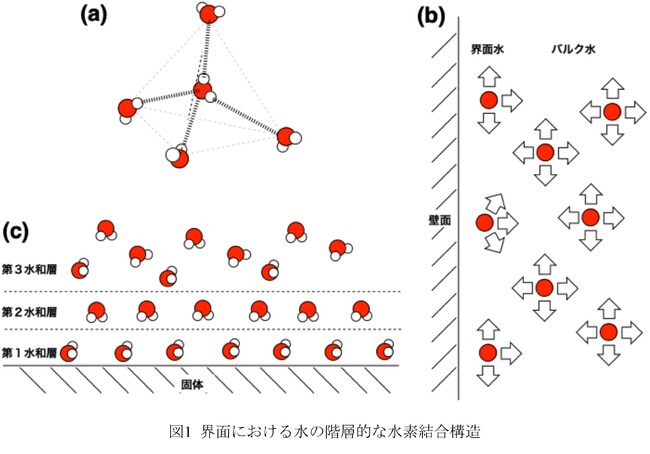 ナノ単結晶細孔に閉じ込められた水の階層性と新しい水の相の性質 ～固体2H NMRの測定でみえること～