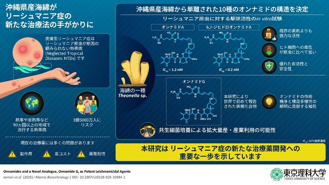 沖縄県の海綿から強力な抗リーシュマニア活性化合物の単離に成功 ～世界の熱帯・亜熱帯地域に蔓延するリーシュマニア症への新規治療薬開発につながる知見～