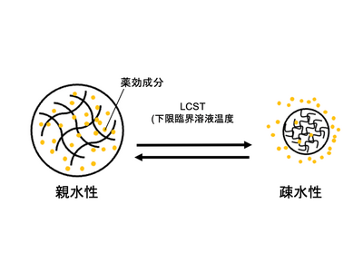 ���x�������n�C�h���Q�����]�ڎ��̍\���ω��Ɠd�C�����̑��ւ�V��@�ŉ� �`�u���I�E�C���s�[�_���X�@�v�ŁA����E�\���E�d�C�����𓯎�����`