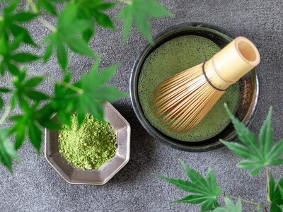 【花より団子】湯河原温泉の旅館がセルフお抹茶体験付プラン販売　お部屋でのんびり和の寛ぎを｜2025年5月29日～7月18日まで
