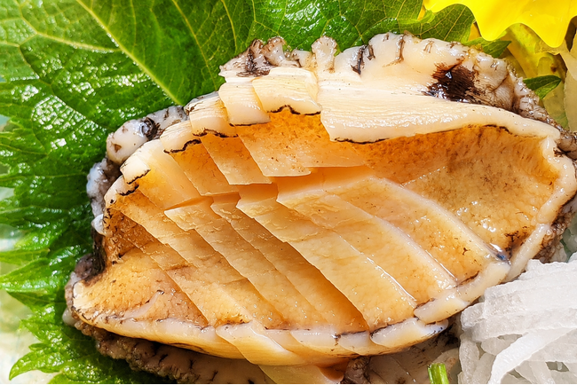 【豪華なオマケ】旬のアワビを楽しむ夏グルメキャンペーン開始　いつもの夕食が期間限定でグレードアップ｜2026年6月1日～7月31日