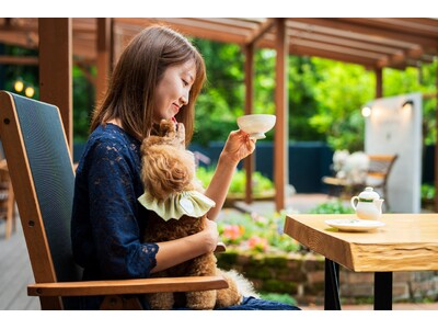 愛犬との別府旅がもっと便利に　カフェ＆屋内ドッグランの日帰り利用を開始｜2026年9月1日より