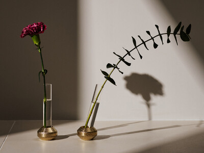 �V�����g���[�ƃA�V�����g���[���y���ސ^�J���̉Ԋ�ua/sym�v����