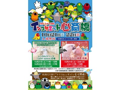 鳥(チョウ)人気のインコサミット！「ことりカフェ」で開催決定♪