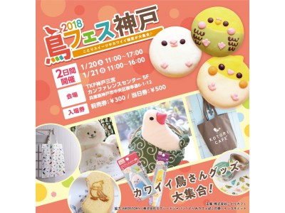 鳥フェス神戸２０１８ 開催決定 ことりカフェ で人気の小鳥スイーツも登場 企業リリース 日刊工業新聞 電子版