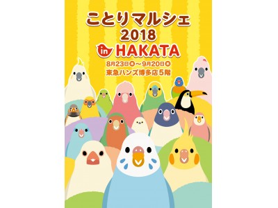 「ことりカフェ」博多で８月23日からイベント開催♪