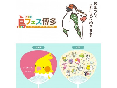 鳥好きによる鳥好きのための秋祭り「鳥フェス博多」開催！カワイイ小鳥うちわ特典付♪