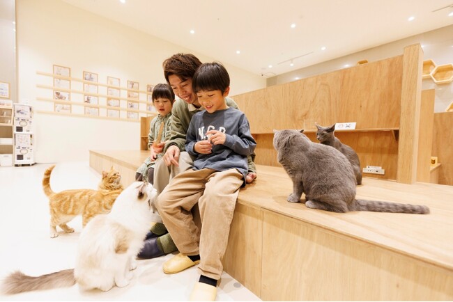 動物たちを見て、ふれて、感じて、楽しみながら学べる！ ららぽーと安城に『Cat Cafe MOFF』と『Moff animal cafe』がグランドオープン！