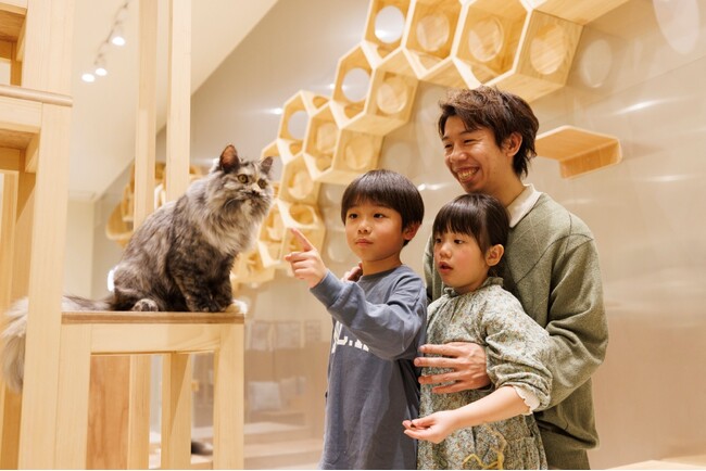 動物たちを見て、ふれて、感じて、楽しみながら学べる！ネコカフェ『Cat Cafe MOFF minamoa広島店』グランドオープン！