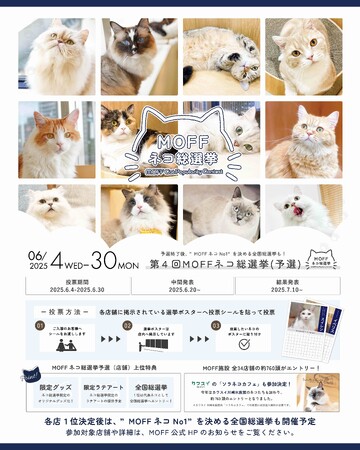 総勢760頭に及ぶ、第4回「MOFF ネコ総選挙」の予選結果発表！