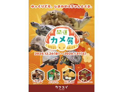 【カワスイ 川崎水族館】縁起の良いカメ＆干支のポニーが集合！家族で楽しむ「開運カメ展」を12月26日より開催！