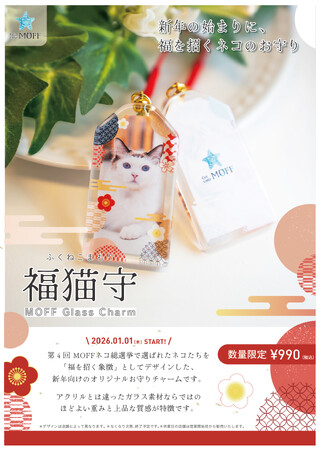 MOFF猫カフェで推し猫と迎える新年