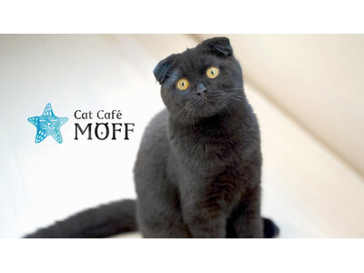 那覇・国際通りに待望のオープン！『Cat Cafe MOFF 沖縄国際通り店』4月23日（木）誕生！！