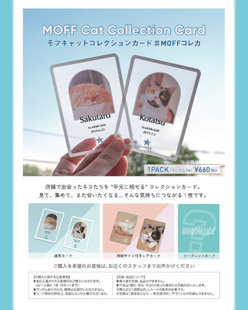 【GWはMOFFへ！】5月2日より同時展開！大人気『MOFF Cat Collection Card』販売店舗拡大 ＆ 新作「MOFF Cat アクリルバッジ」グランベリーパーク店から販売スタート！