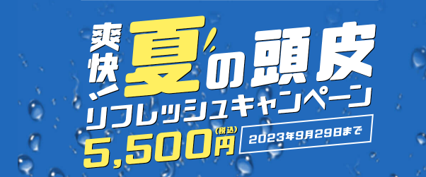 爽快！夏の頭皮リフレッシュキャンペーン実施中/＜ヘアケア・スカルプ視点で見る“サ活”のススメ＞サウナが髪や頭皮に与える影響を毛髪診断士(R)が解説