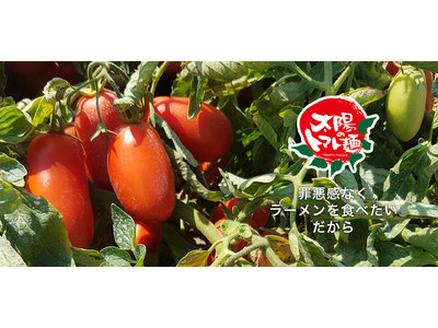 『太陽のトマト麺』オンラインショップがリニューアル！なんと41円！お得なリニューアルキャンペーンも