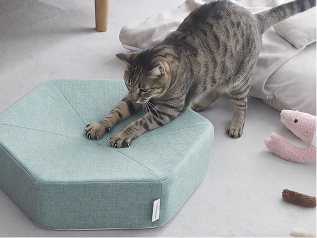 思う存分ガリガリどうぞ！インテリアになる爪とぎクッション「ガリボロスター」× bon moment cat 別注モデルが新発売！