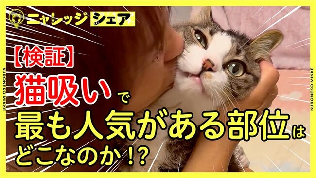 【全国の猫好き必見!】猫吸い人気ランキング 気になる1位は「頭」!?【検証】猫吸いで最も人気がある部位はどこなのか!?7月30日(水)から公開!